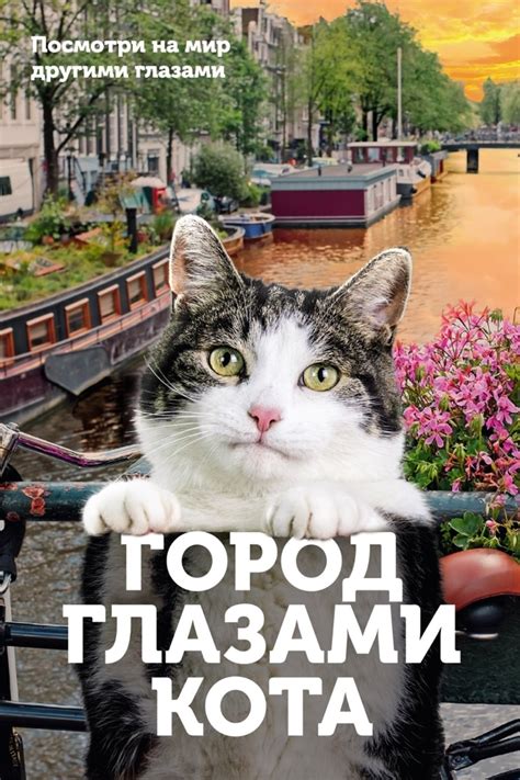 Город глазами кота (Фильм 2018)