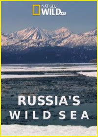 Дикое море России 1 сезон