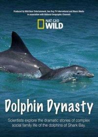 Династия дельфинов (2016)