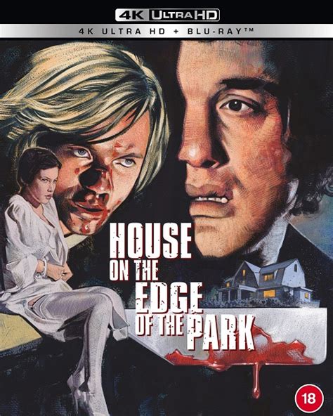 Дом на краю парка (1980)