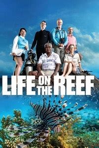 Жизнь на Большом Барьерном рифе 1 сезон