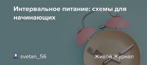 Схемы интервального питания для здоровья и похудения