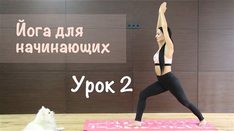 Йога для начинающих урок 2 растяжка для гибкости