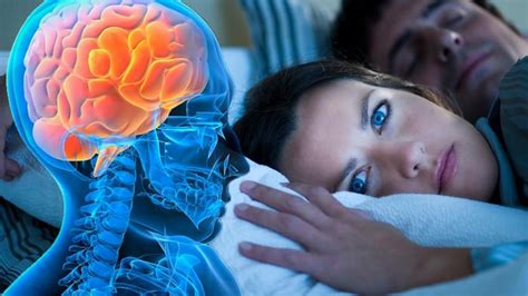 Какая нервная система отвечает за сон?