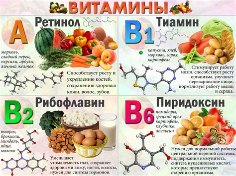 Какие витамины пить для улучшения обмена веществ?