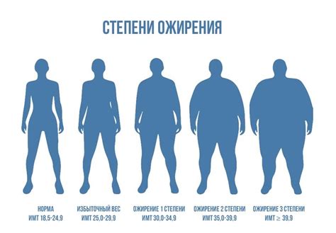 Какой вес считается ожирением?