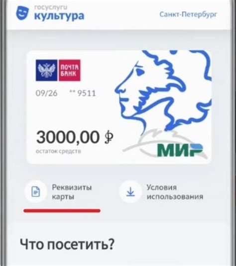 Как пользоваться Пушкинской картой без NFC?