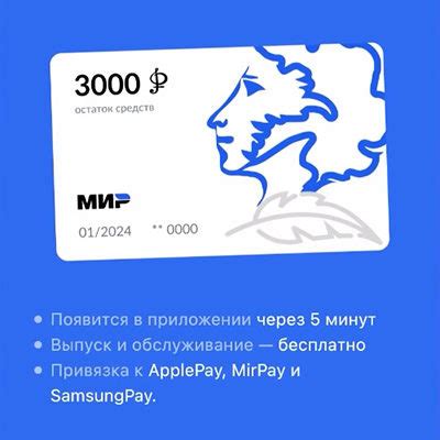 Перевод денег с Пушкинской карты - простые инструкции
