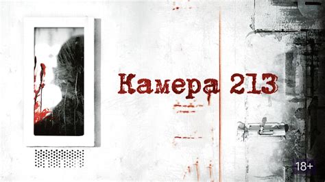 Камера 213 (Фильм 2011)