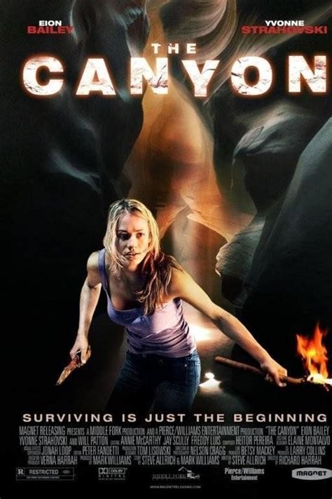 Каньон (2009)