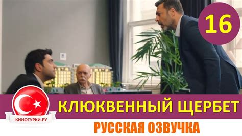 Клюквенный щербет 1 сезон 16 серия