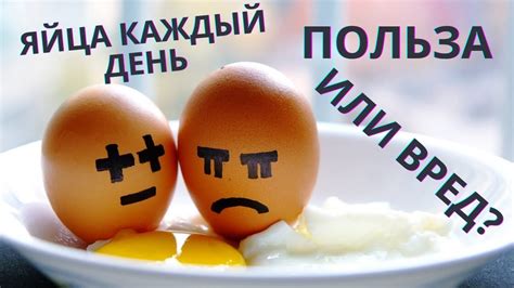 Можно ли два яйца в день?