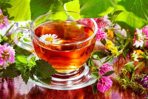 Можно ли каждый день пить травяной чай?