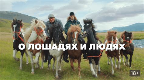 О лошадях и людях 2013