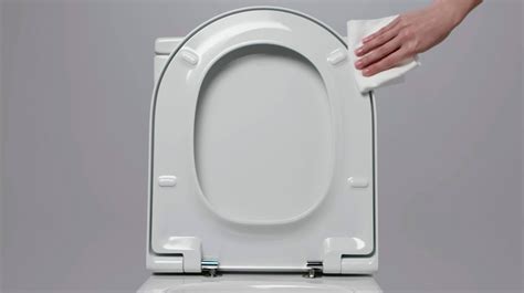 Папилома вирус седалка на тоалетна - comercialexposito.com