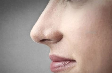 Почему в старости большой нос?
