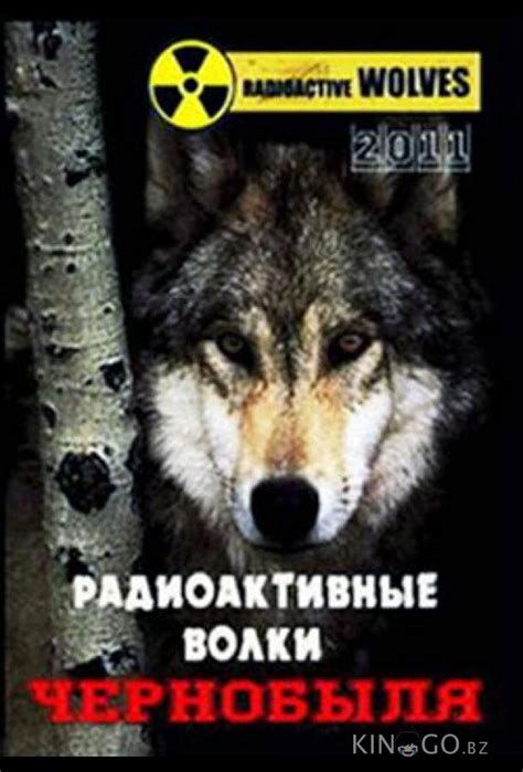 Радиоактивные волки Чернобыля 2011