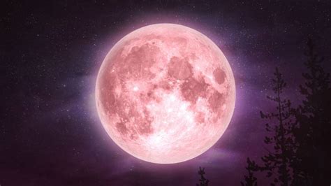 Розовая луна (2022)