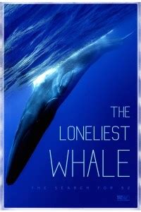 Самый одинокий кит на планете в поисках Пятидесятидвухгерцового кита 2021