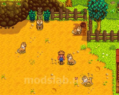 Скачать Shiba Inu - Shepherd - Husky - Pet Dog Mod (CP) для Stardew …