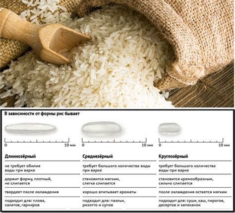 Сколько ккал в 500 г риса?