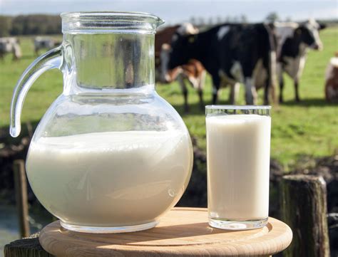 Сколько по времени усваивается молоко?