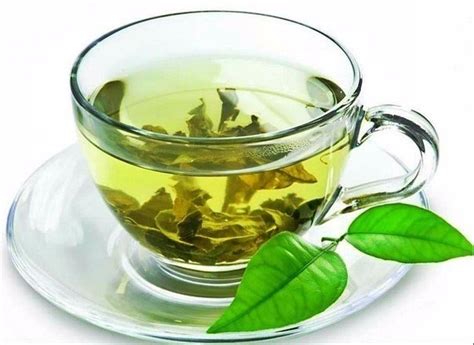 Сколько раз в день пить зеленый чай для похудения?