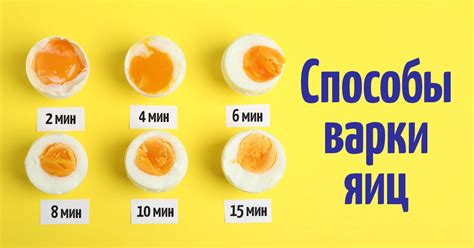 Сколько яиц можно есть в сутки?