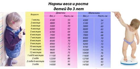 Эффективные стратегии для одновременного снижения веса и омоложения