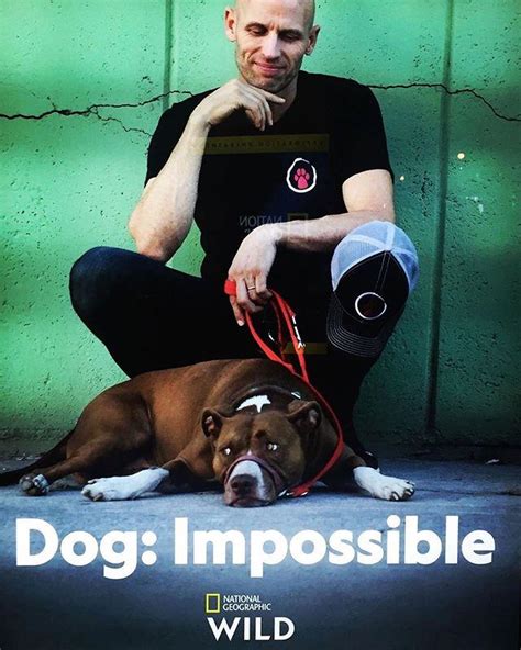 Собака: Невозможное возможно 1 сезон