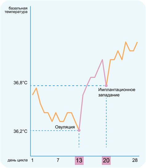 Как температура тела может указывать на беременность