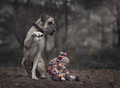 th?q=Энди Селиверстов: Мы с лучшим другом: фотографии детей и их больших  собак [Перловка].