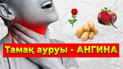 th?q=ангинаны+бастыру+жолдары+ангинаға+қарсы+антибиотиктер