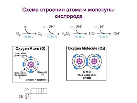 th?q=атом+кислорода+гидроксильной+группы+имеет