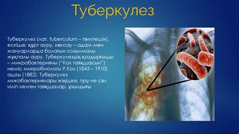 th?q=ауру+қоздырғыш+қарапайым+амеба+бактериялар+тудыратын+аурулар