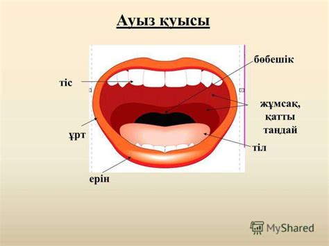 th?q=ауыз+қуысы+рагы+ауыз+қуысы+суреті