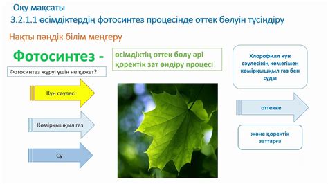 th?q=ашық+сабақ+3+сынып+жаратылыстану+сабақ+жоспары+3+сынып+жаратылыстану