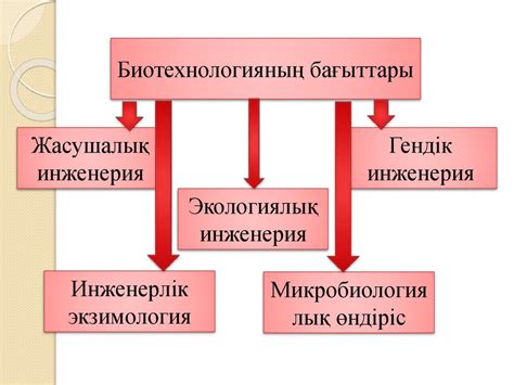 th?q=биотехнологиялық+процессті+басқару+модельдері+биотехнология+нысандары