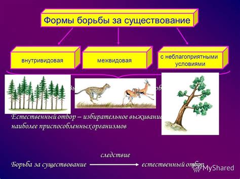 th?q=борьба+за+существование+примеры+внутривидовая+борьба+за+существование+примеры