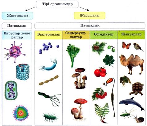 th?q=біржасушалы+организмдер+түрлері+біржасушалы+организмдердің+пайда+болуы