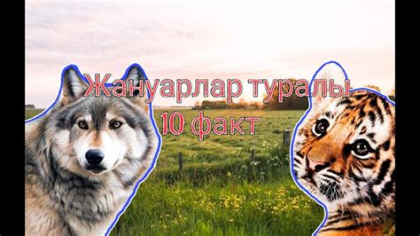 th?q=бәйтерек+туралы+шығармалар+бәйтерек+туралы+қызықты+мәліметтер