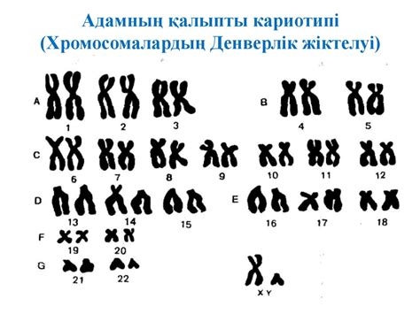 th?q=гомологты+емес+хромосомалар+хромосомалар+саны