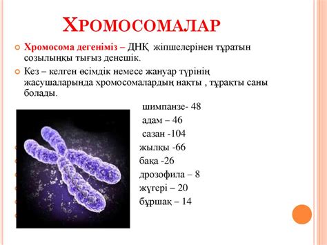 th?q=еншілес+жасушалардағы+хромосомалар+жиынтығы+днқ+ның+құрамы+неден+тұрады