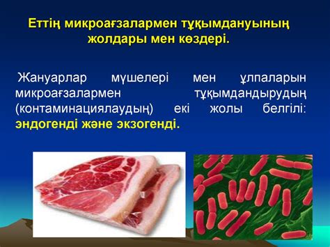 th?q=ет+және+ет+өнімдерінің+бұзылуы+ет+өнімдерін+сақтау