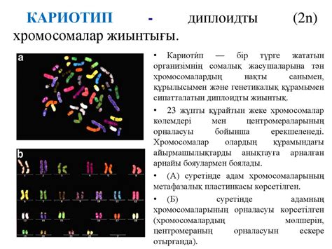 th?q=жыныс+хромосома+саны+хромосомалар+саны