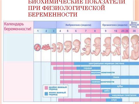 th?q=жүктілік+кезінде+неше+аптада+іш+шығады+жүктілік+неше+күннен+кейін+белгілі+болады