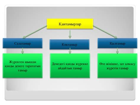 th?q=жүректен+шыққан+қанды+денеге+тарататын+тамыр