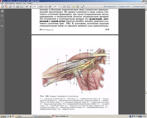 th?q=иық+өрімінің+ұзын+тармақтары+сүйек+ұлпасында+жас+қалыптаспаған+жасушалар