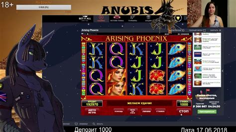 казино онлайн bet