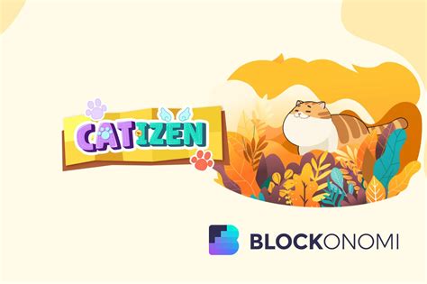 комбо catizen 26